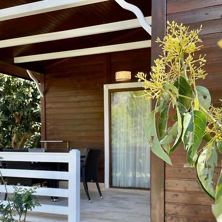 Aida Hotel Çıralı Exteriör bild