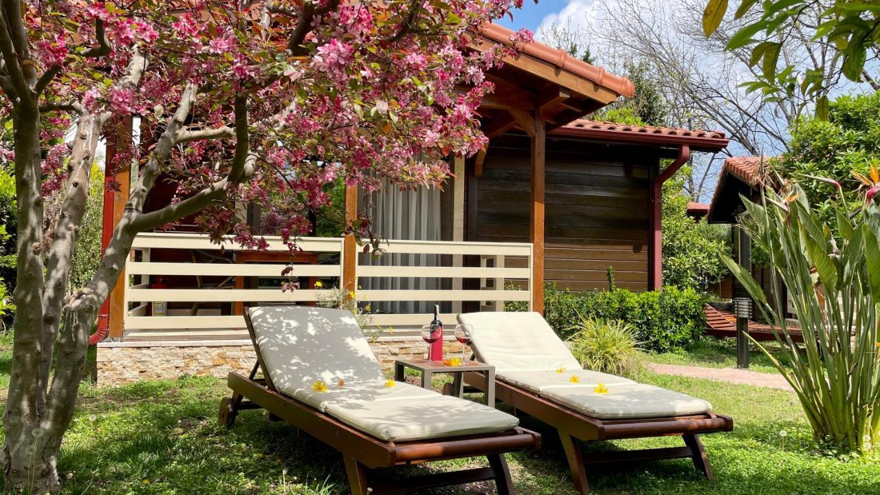 Aida Hotel Çıralı Exteriör bild