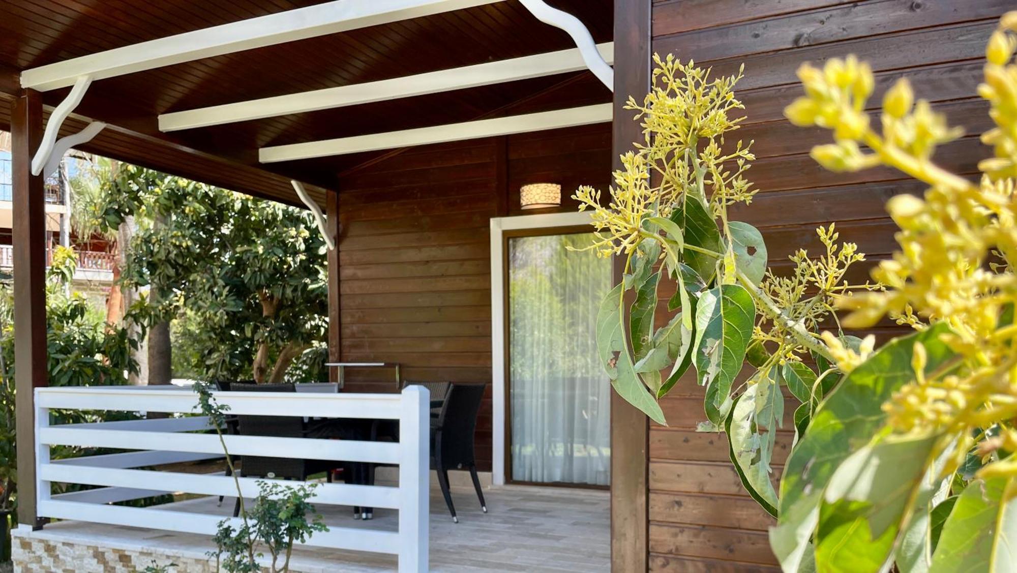 Aida Hotel Çıralı Exteriör bild