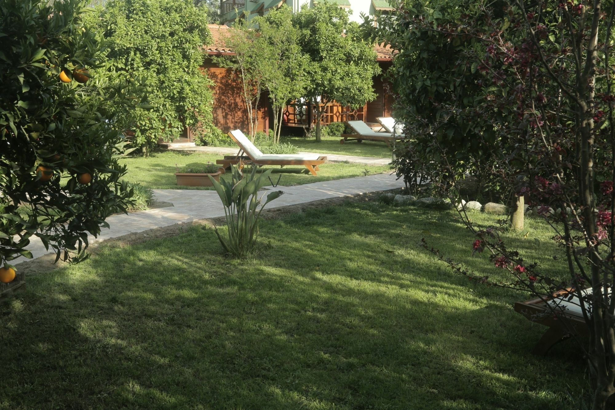 Aida Hotel Çıralı Exteriör bild